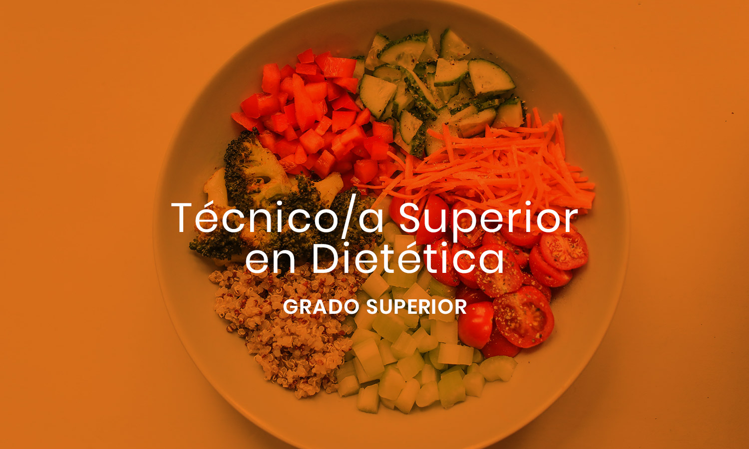 tecnicosupdiet